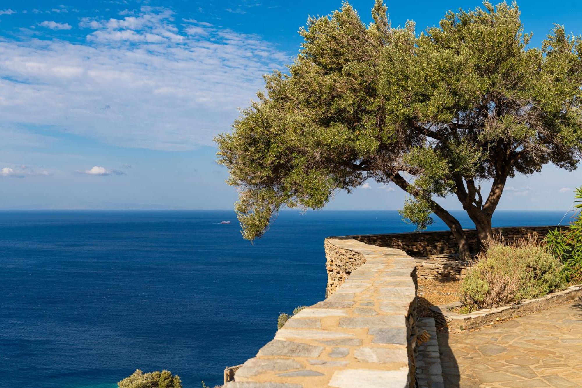 Andros Serenity Retreat - Adults Only Episkopion  Exterior foto